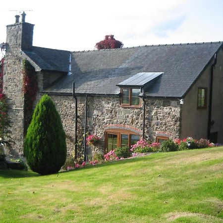 Bed and Breakfast Tan Y Graig Meifod Esterno foto
