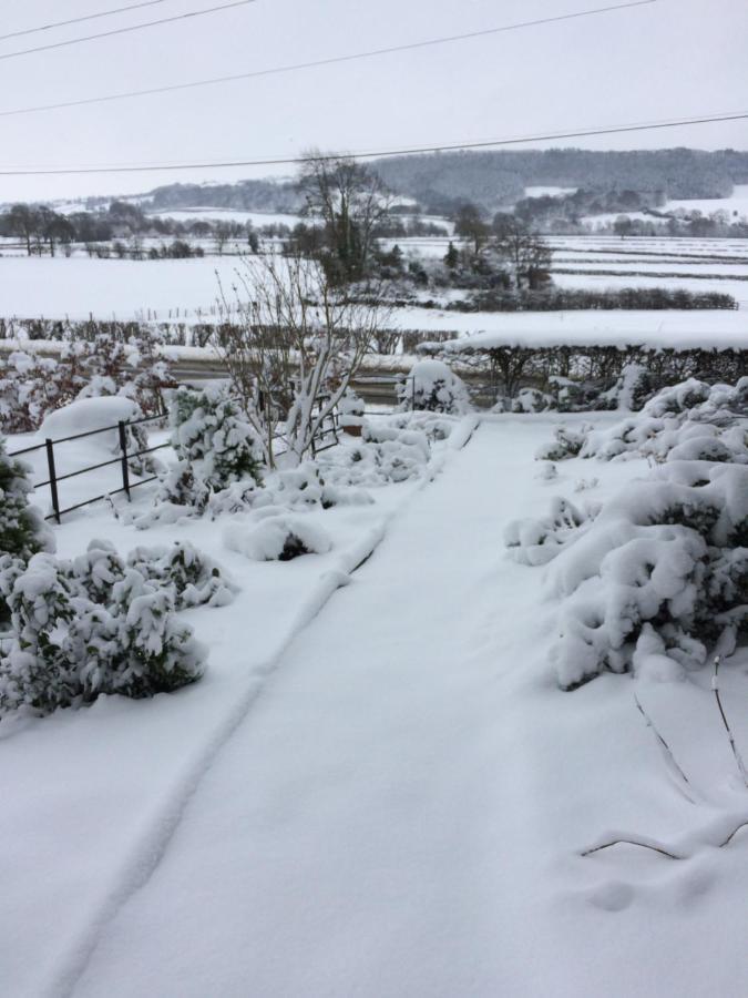 Bed and Breakfast Tan Y Graig Meifod Esterno foto